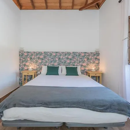 El Patio Del Naranjo By Canarias Homelidays Valleseco